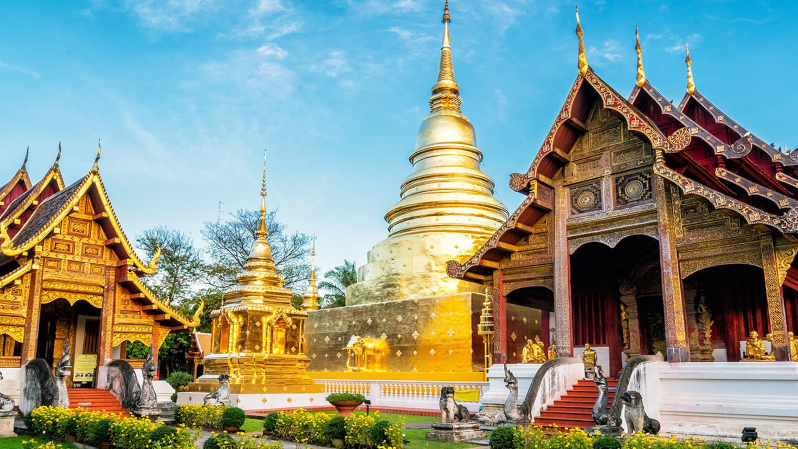 Sacred Buddhist Journey from Thailand to India & Nepal