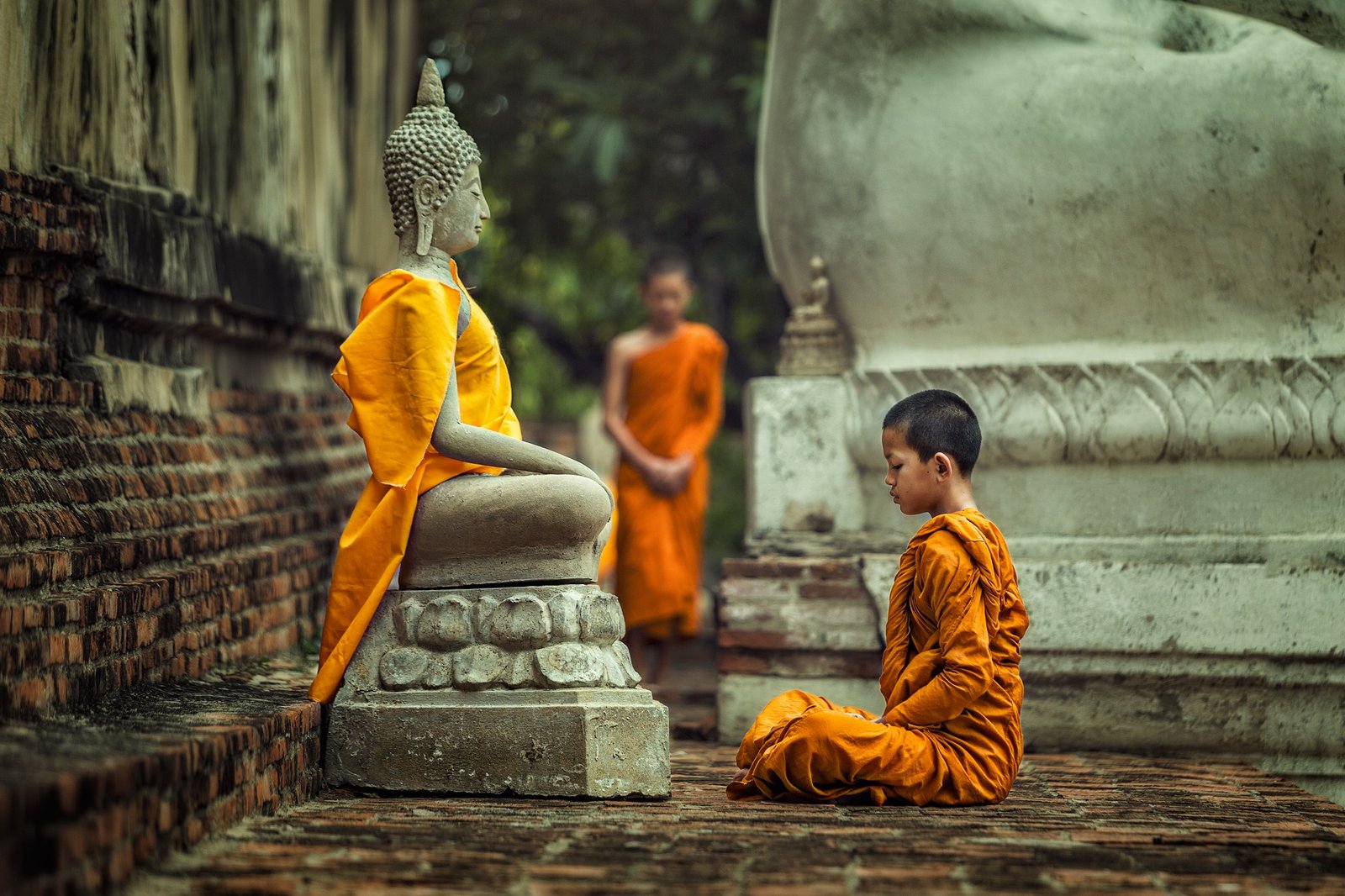 Buddhist Tour Packages in India 2026
